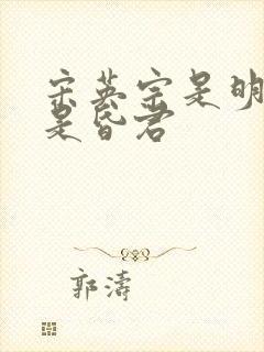 宋英宗是明君还是昏君