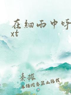 在细雨中呼喊txt