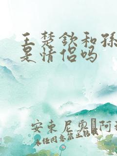 王楚钦和孙颖莎是情侣吗