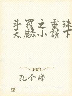 斗罗之灵珠神剑天麟小说下装电子书