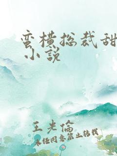 蛮横总裁甜宠妻 小说