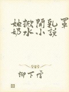 她掀开乳罩喂我奶水小说