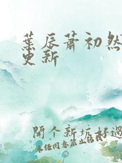 叶辰萧初然继续更新