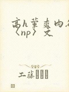 高h荤爽肉欲文〈np〉文