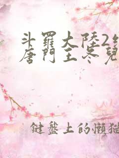 斗罗大陆2绝世唐门王冬儿的身份