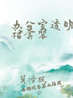 办公室透明半身裙套装