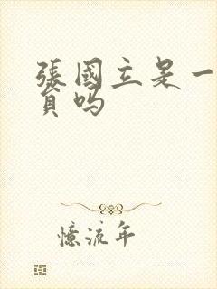 张国立是一级演员吗