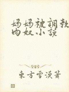 妈妈被调教的孕肉奴小说