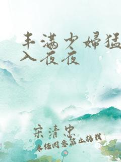 丰满少妇猛烈进入夜夜