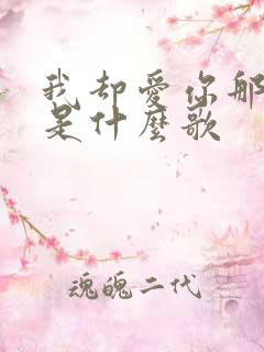 我却爱你那么多是什么歌