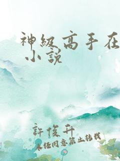 神级高手在都市 小说