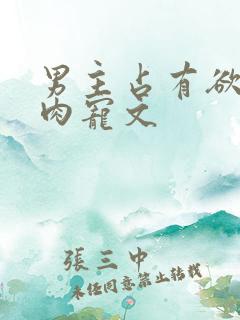 男主占有欲强的肉宠文