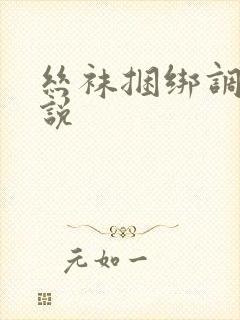 丝袜捆绑调教小说