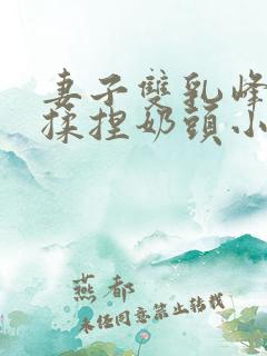 妻子双乳峰摸晃揉捏奶头小说