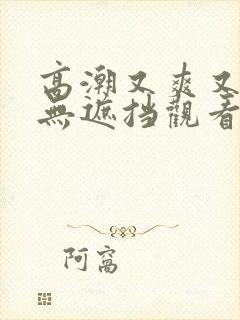 高潮又爽又黄又无遮挡观看