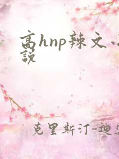 高hnp辣文小说
