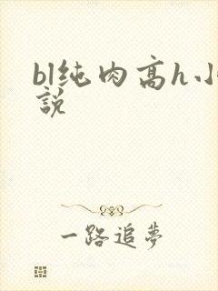 bl纯肉高h小说