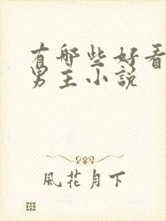 有哪些好看的双男主小说