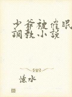 少爷被催眠玩弄调教小说