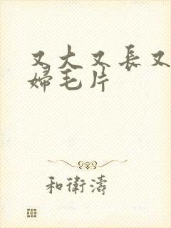 又大又长又爽少妇毛片