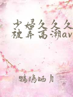 少妇久久久久久被弄高潮av