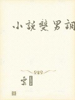 小说双男调教