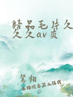 精品毛片久久久久久av爽