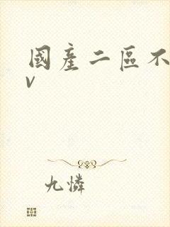 国产二区不卡av