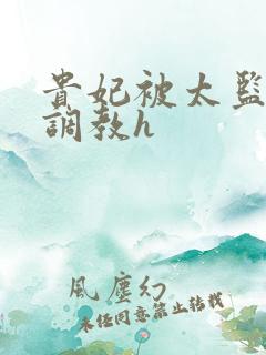 贵妃被太监折磨调教h