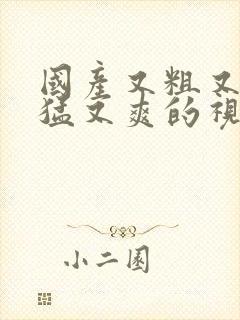 国产又粗又长又猛又爽的视频