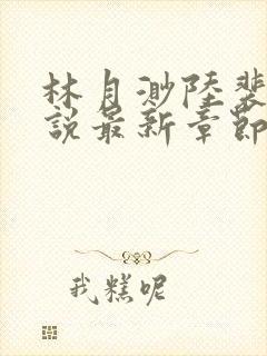 林月渺陆裴安小说最新章节更新