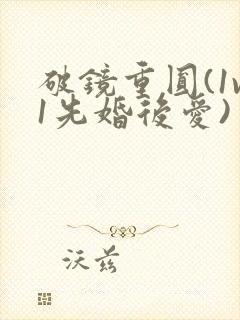 破镜重圆(1v1先婚后爱)