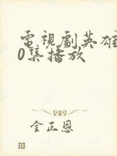 电视剧英雄祭40集播放