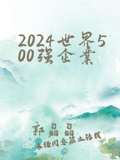 2024世界500强企业