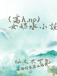 (高h,np)女奶水小说