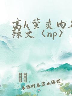 高h荤爽肉欲文辣文〈np〉