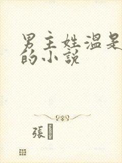 男主姓温是总裁的小说