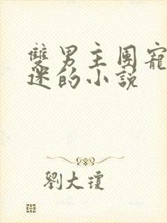 双男主团宠万人迷的小说