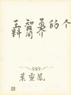 王智勇的个人资料简介