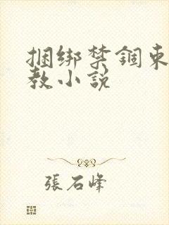 捆绑禁锢束缚调教小说