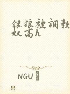 银狼被调教成肉奴高h