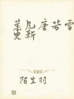 叶凡唐若雪王婿更新