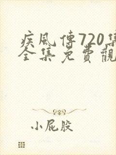 疾风传720集全集免费观看高清