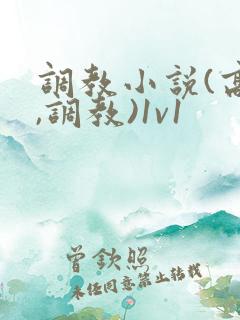 调教小说(高h,调教)1v1