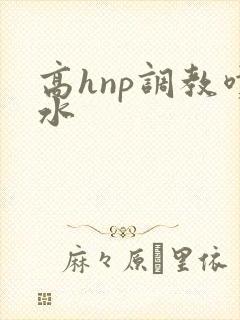 高hnp调教喷水