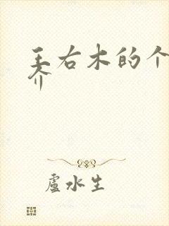 王右木的个人简介