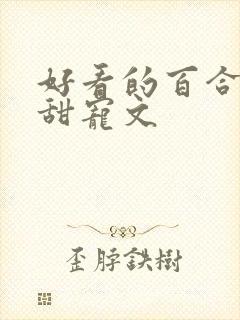 好看的百合小说甜宠文