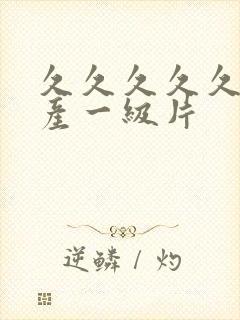 久久久久久久国产一级片