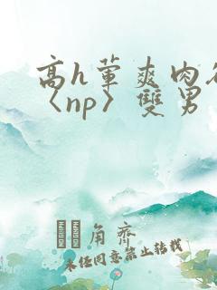 高h荤爽肉欲文〈np〉双男