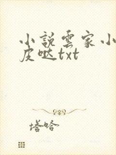 小说云家小九超皮哒txt